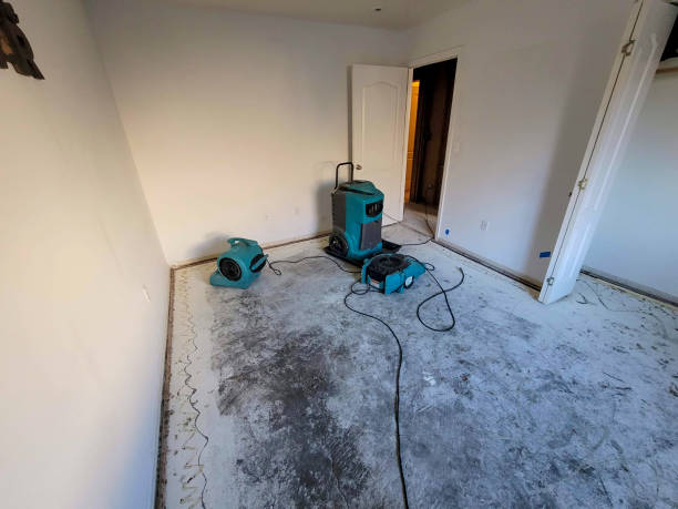 Best Carpet water damage restoration  in Oak Grove, LA