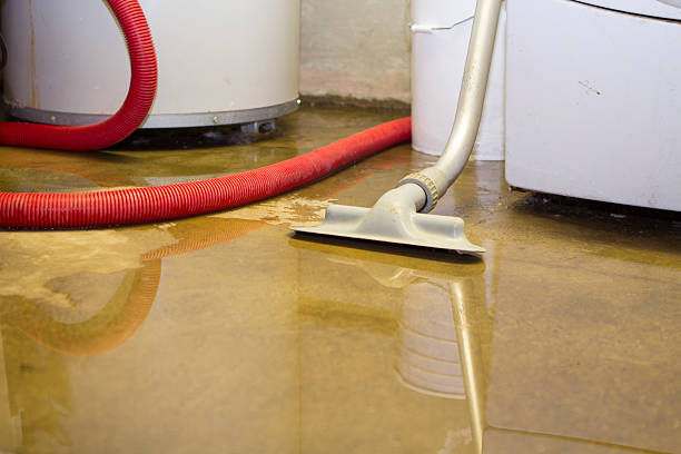 Professional Water damage restoration in LA